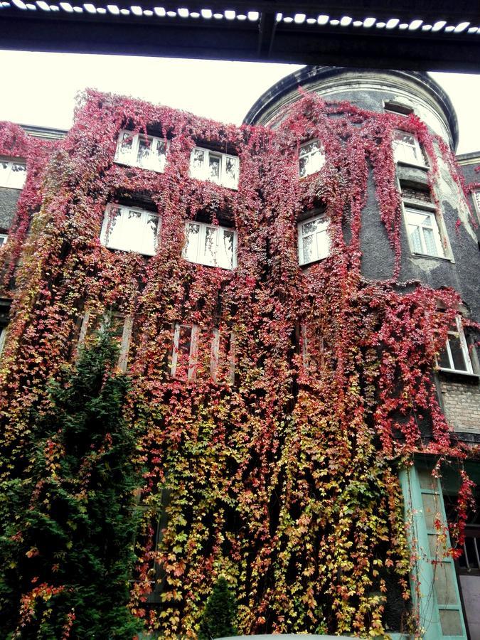 Bed and Breakfast Bristol Economy Bytom Exteriér fotografie
